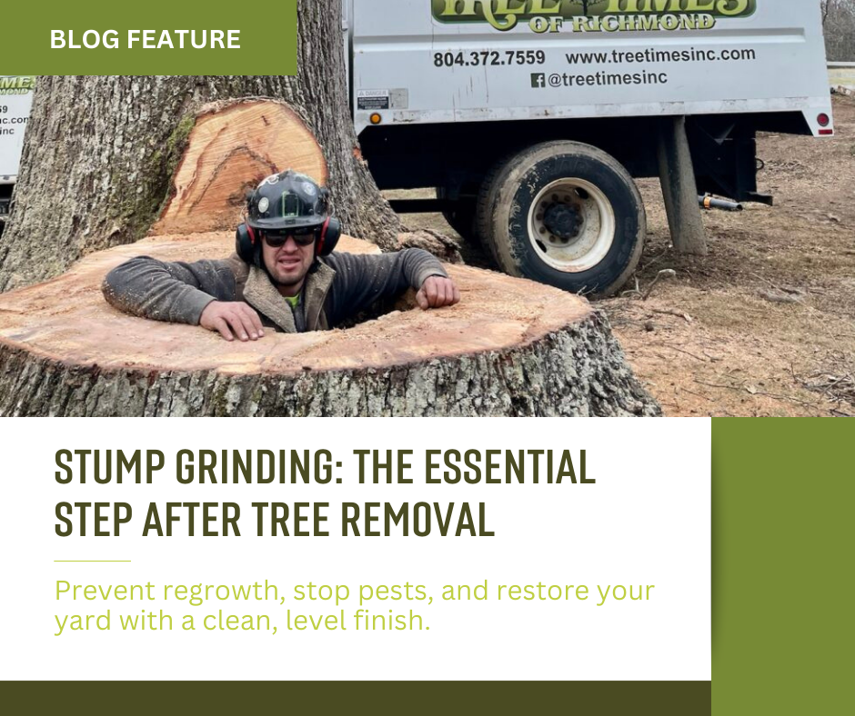 Blog pics for website (2)