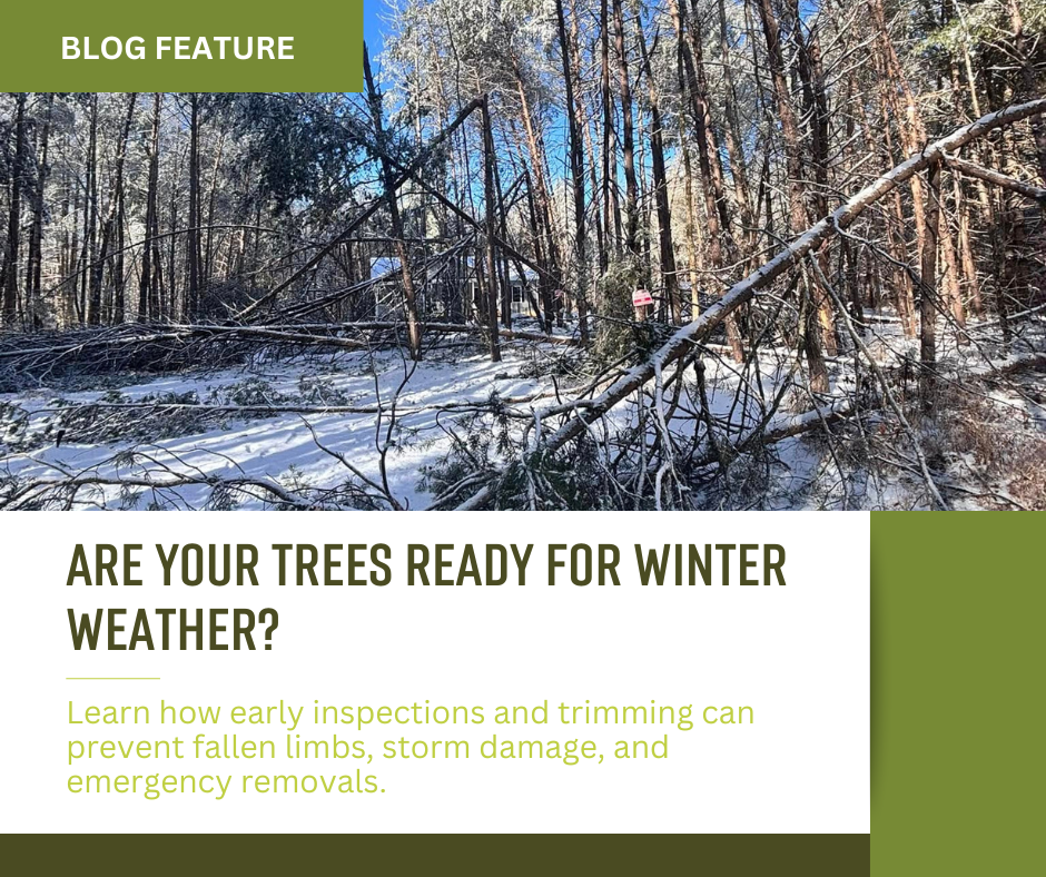 Blog pics for website (3)