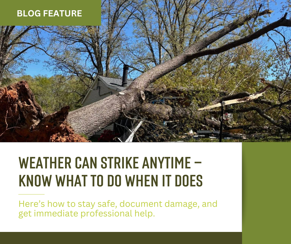 Blog pics for website (4)