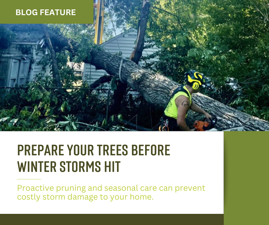 Blog pics for website (5)