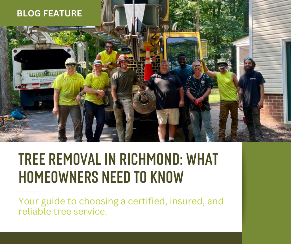 Blog pics for website